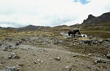 603_Op 3500 m in de Andes, langs de Incatrail